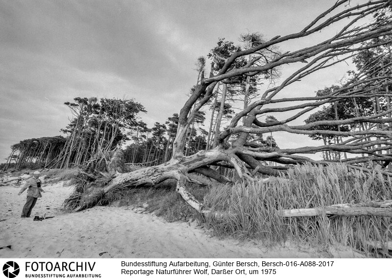 Lieblingsort Berschs<BR>Aufnahmedatum: um 1975<BR>Material/Technik: Foto s/w<BR>Aufnahmeort: Darßer Ort (Mecklenburg-Vorpommern)<BR>Signatur: Bersch-016-A088-2017<BR>